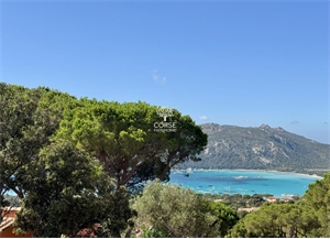 maison à la vente -   20137  PORTO VECCHIO, surface 145 m2 vente maison - UBI481825631